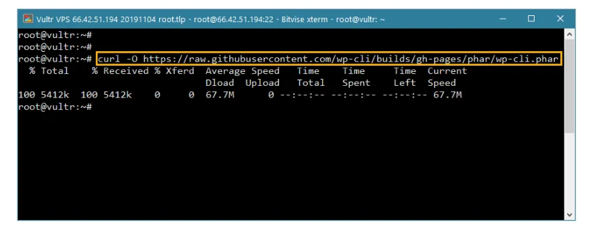Update wp plugins