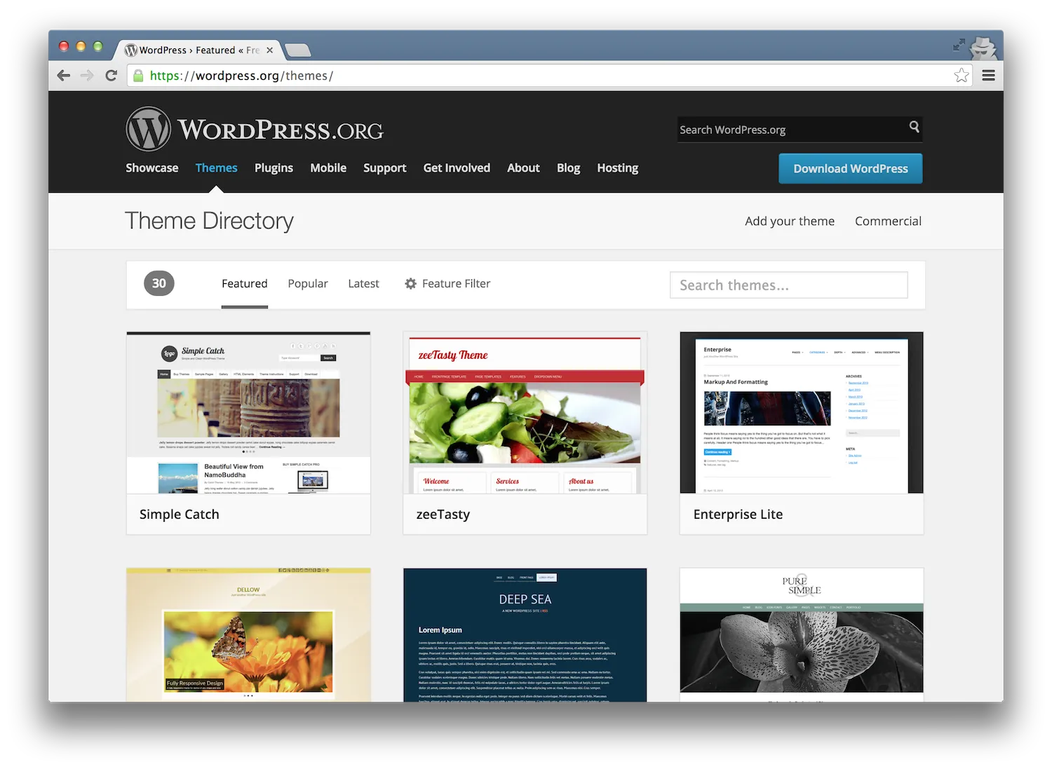 Wordpress theme directory